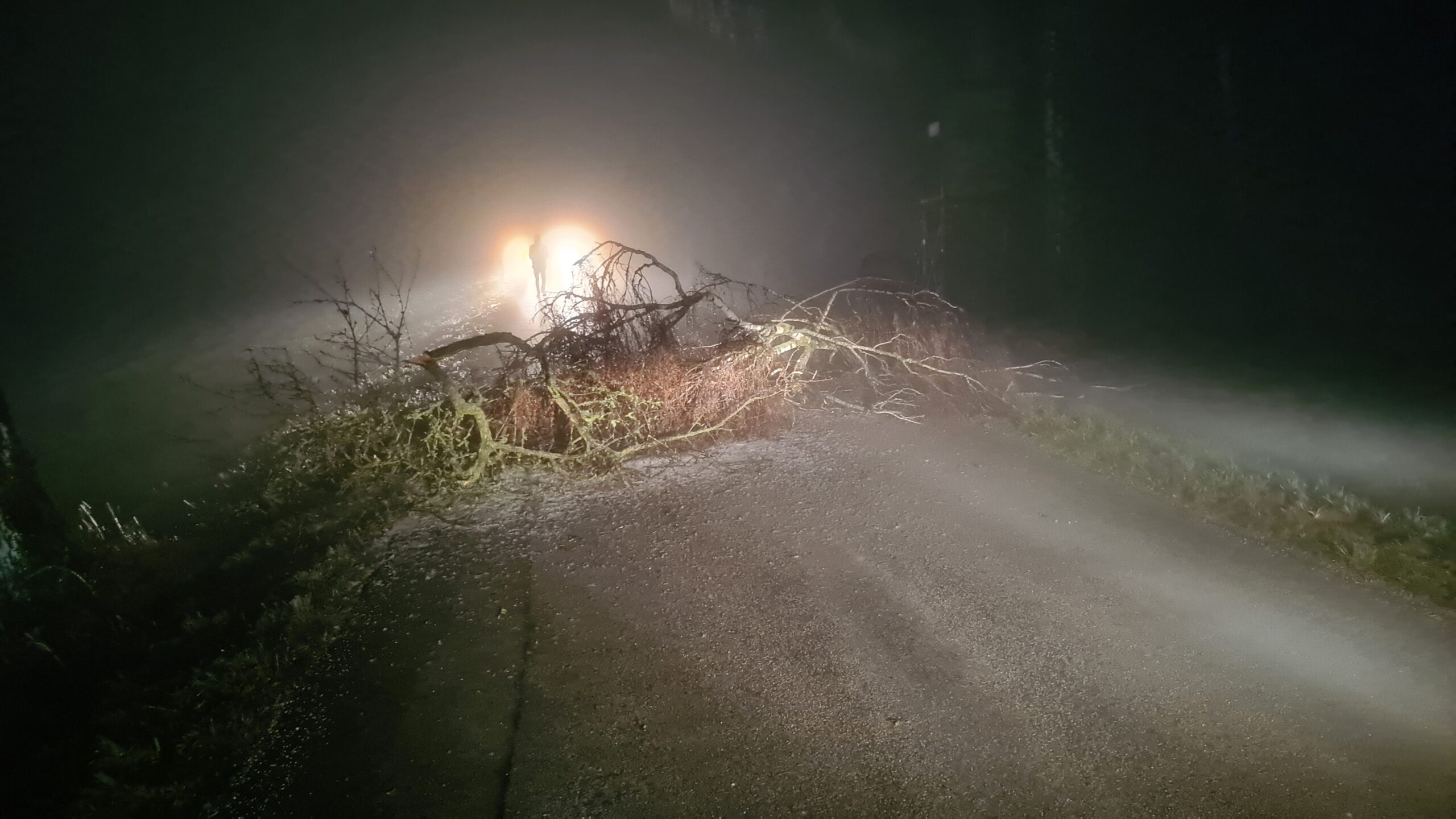 Baum über Straße L5122 bei Dreihöf 21.12.2025